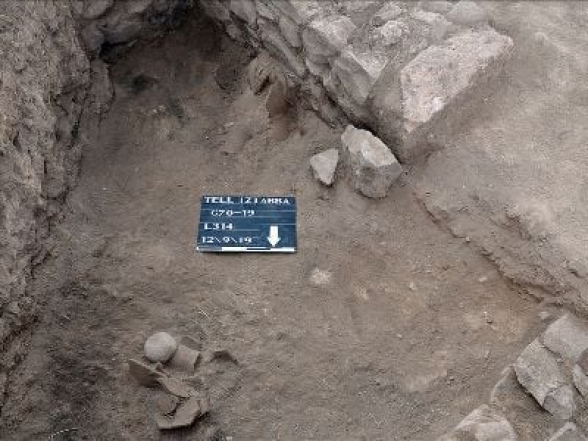 Հնագետները հավի ոսկորներով հաստատել են հին հունական քաղաքի կործանման ճշգրիտ ամսաթիվը